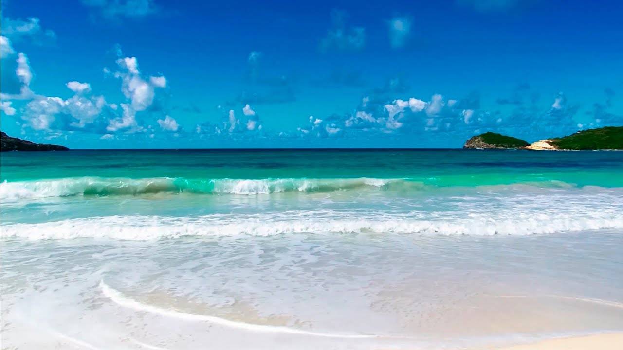 Un cadre détente / Organisation de séjour